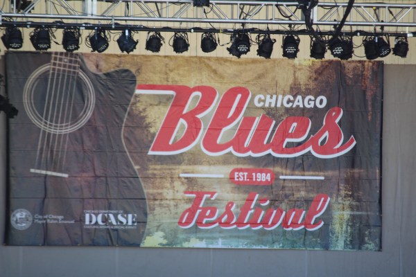 Chicago Blues Fest. 13-06-2014 133