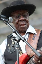 Chicago BluesFest. 15-06-2014 118