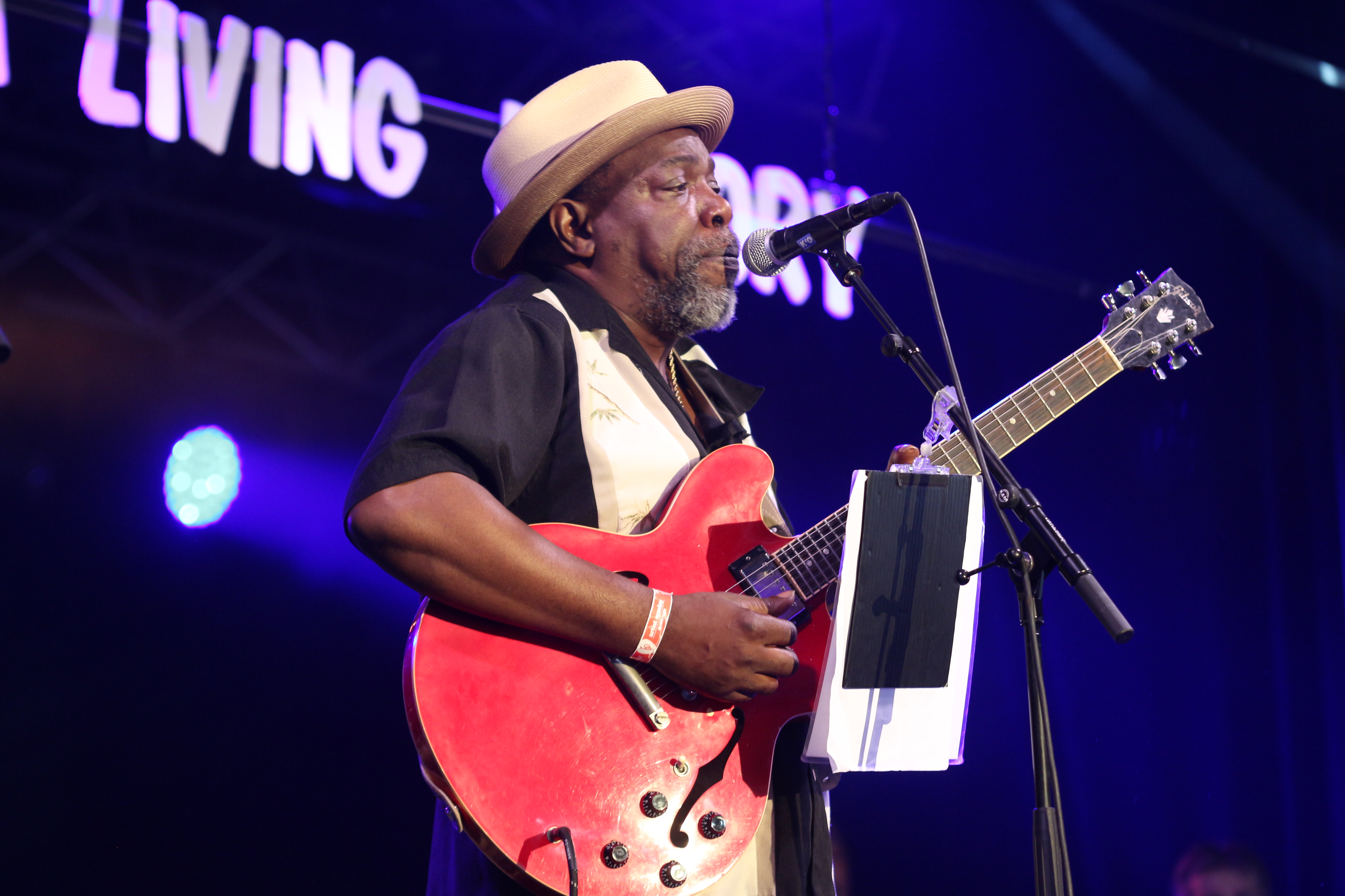 Blues Peer 20-07-2014 281